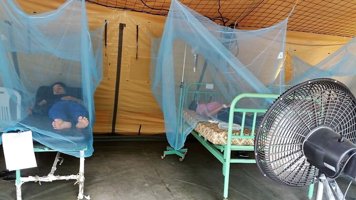 Piura: reportan más de 900 casos de dengue en la región
