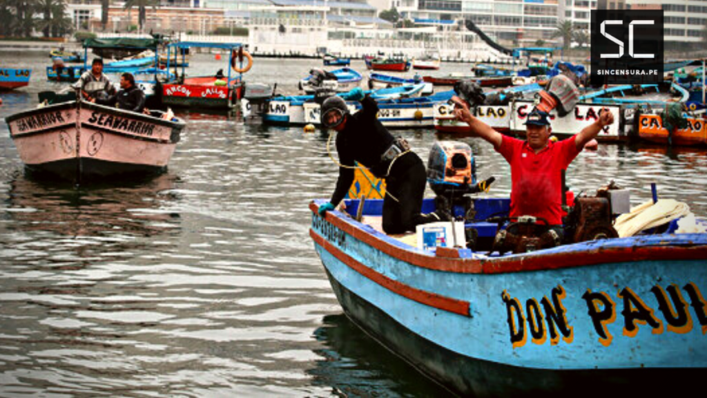 Bono de pescadores 2023: requisitos y link oficial para saber si eres beneficiario de los S/ 500