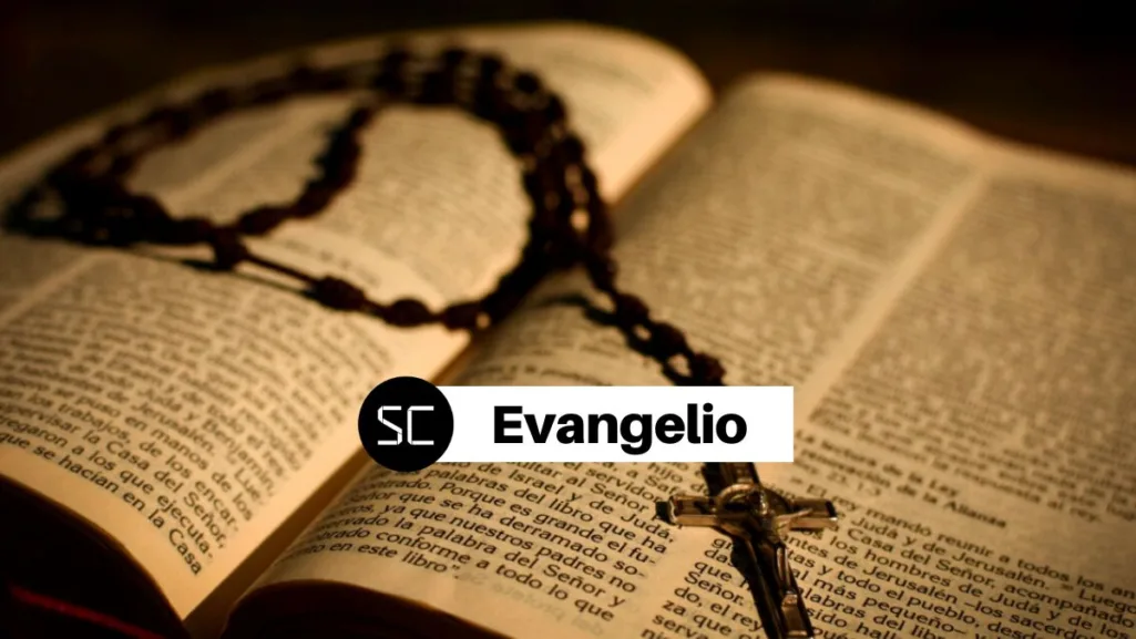 Evangelio de hoy, martes 20 de junio 2023: Lecturas y Salmo responsorial, según el Vaticano