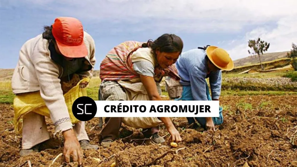 Crédito AgroMujer: requisitos y dónde puedo solicitar préstamos de hasta más de S/ 14 mil