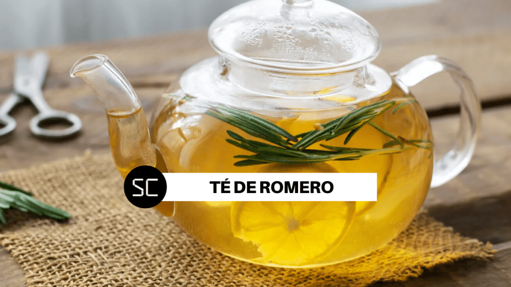 ¿Estás seguro que conoces todos los beneficios del romero? El té de esta planta aromática puede aliviar diversos malestares en el cuerpo.