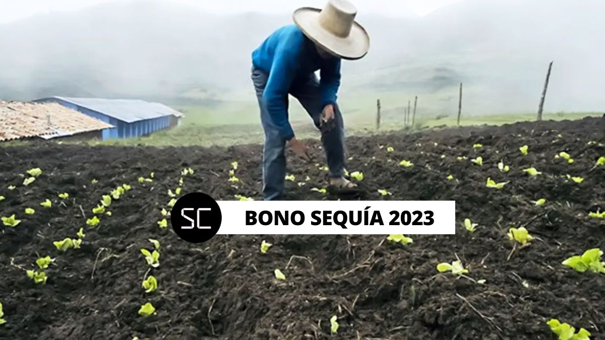 ¿El Bono Sequía 2023 y su link de consulta DNI siguen vigentes? El Midagri otorgó 800 soles por hectárea afectada por la crisis.