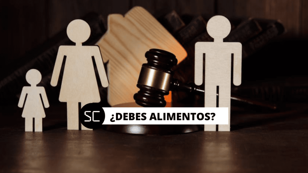 ¿Cómo saber si tengo una demanda de alimentos en Perú? Aquí te dejamos toda la información del Poder Judicial.