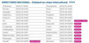 EsSalud Mi Consulta: así puedes sacar citas desde tu celular