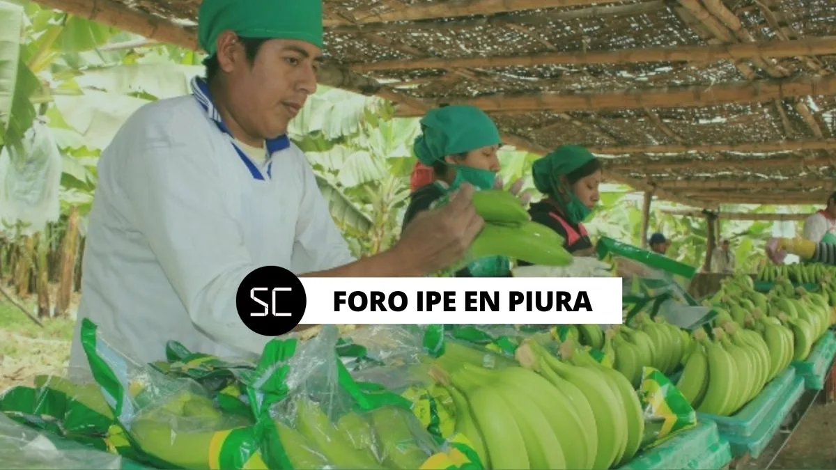 foro regional ipe en piura IPE analizará economía de Piura y el sector productivo de la región