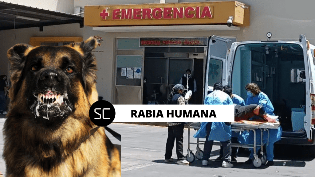 Tras confirmase el primer caso de rabia humana del 2023 en el país, muchos se preguntan cuáles son los síntomas y si este virus es mortal.