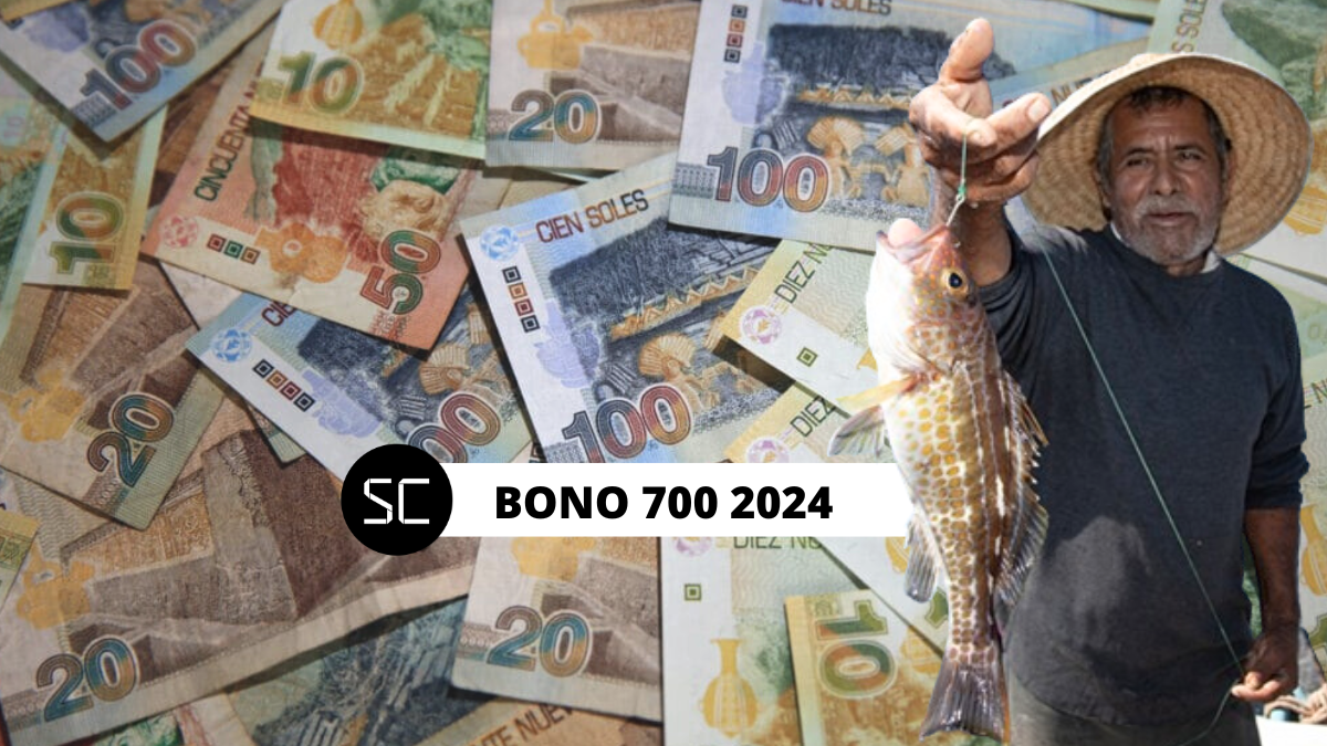 ¿Sabes del Bono 700 o deseas consultar con DNI este 2024 la lista de beneficiarios? Mira aquí cómo y el plazo para cobrar este subsidio.