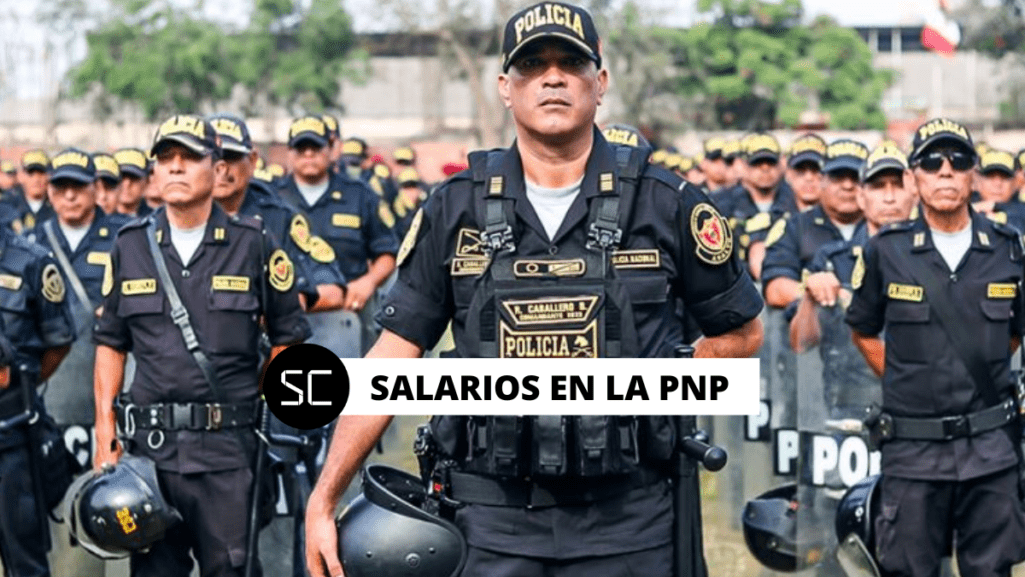 Si quieres postular a la Policía Nacional del Perú debes saber cuánto gana un policía en el Perú este 2024 por rango y asimilación.