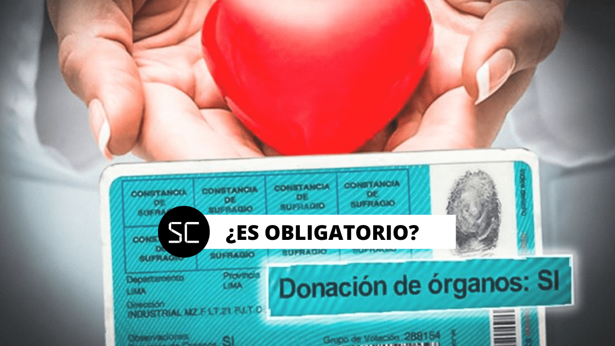 Nueva Ley De Donación De órganos En Perú ¿cuándo Entra En Vigencia Y Que Implica Sin Censura 4441