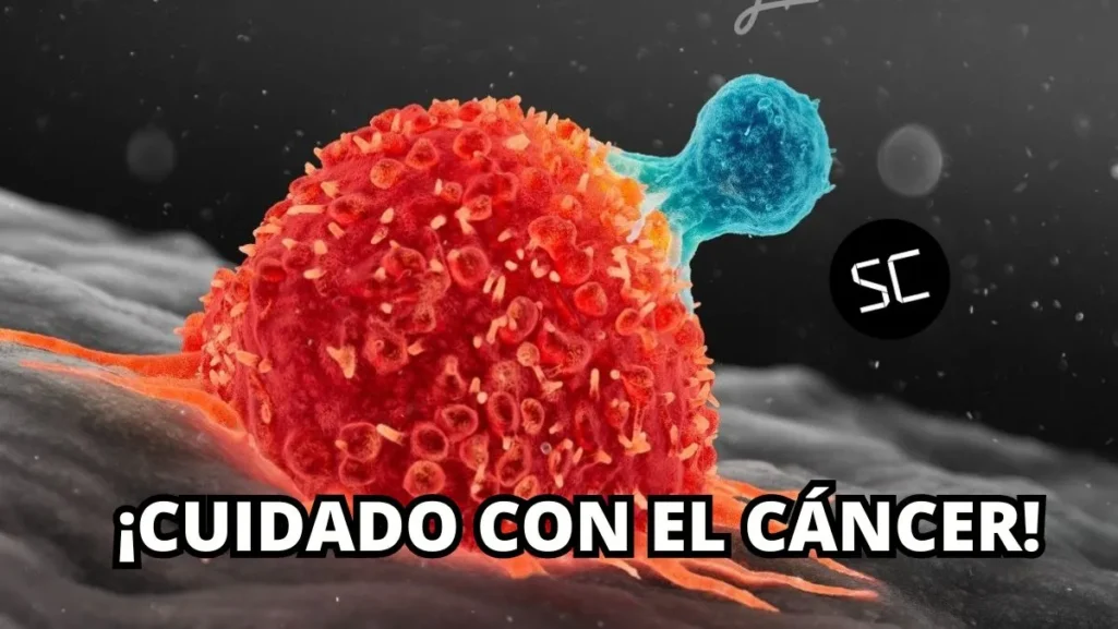 ¿La proteína P62 "alimenta el cáncer?