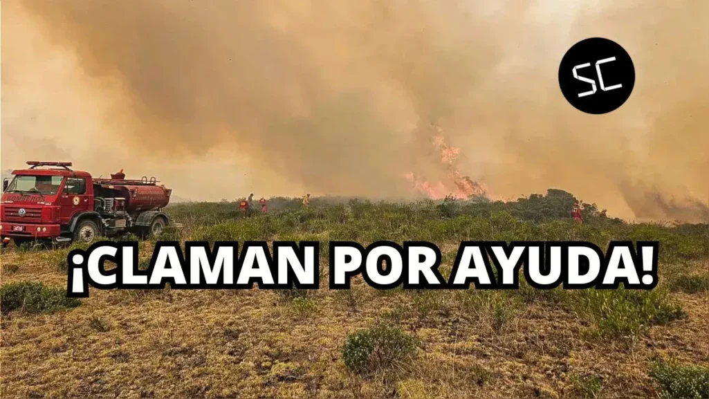 Actualmente se reportan 173 incendios forestales en Perú y 20 regiones son las afectadas por las llamas.