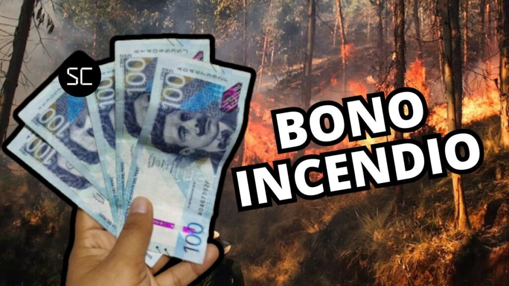 Noticias de incendios forestales en Ayacucho, Madre de Dios y MÁS: Gobierno entrega bono de hasta S/ 8000 a damnificados