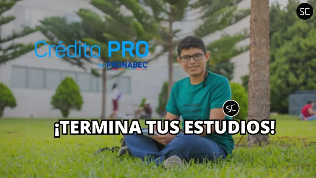 Crédito Pro de Pronabec: Requisitos y cómo postular a este préstamo para seguir estudiando