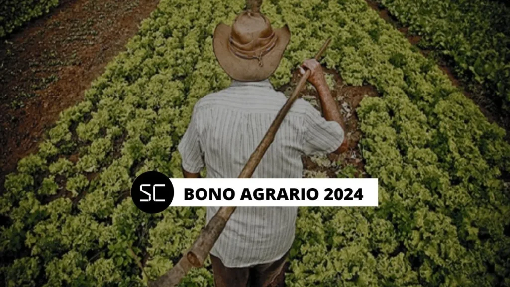 Bono Agrario OCTUBRE 2024: ¿Cuál es la fecha de pago OFICIAL? Esto dice el Midagri