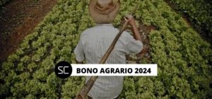 Bono Agrario OCTUBRE 2024: ¿Cuál es la fecha de pago OFICIAL? Esto dice el Midagri